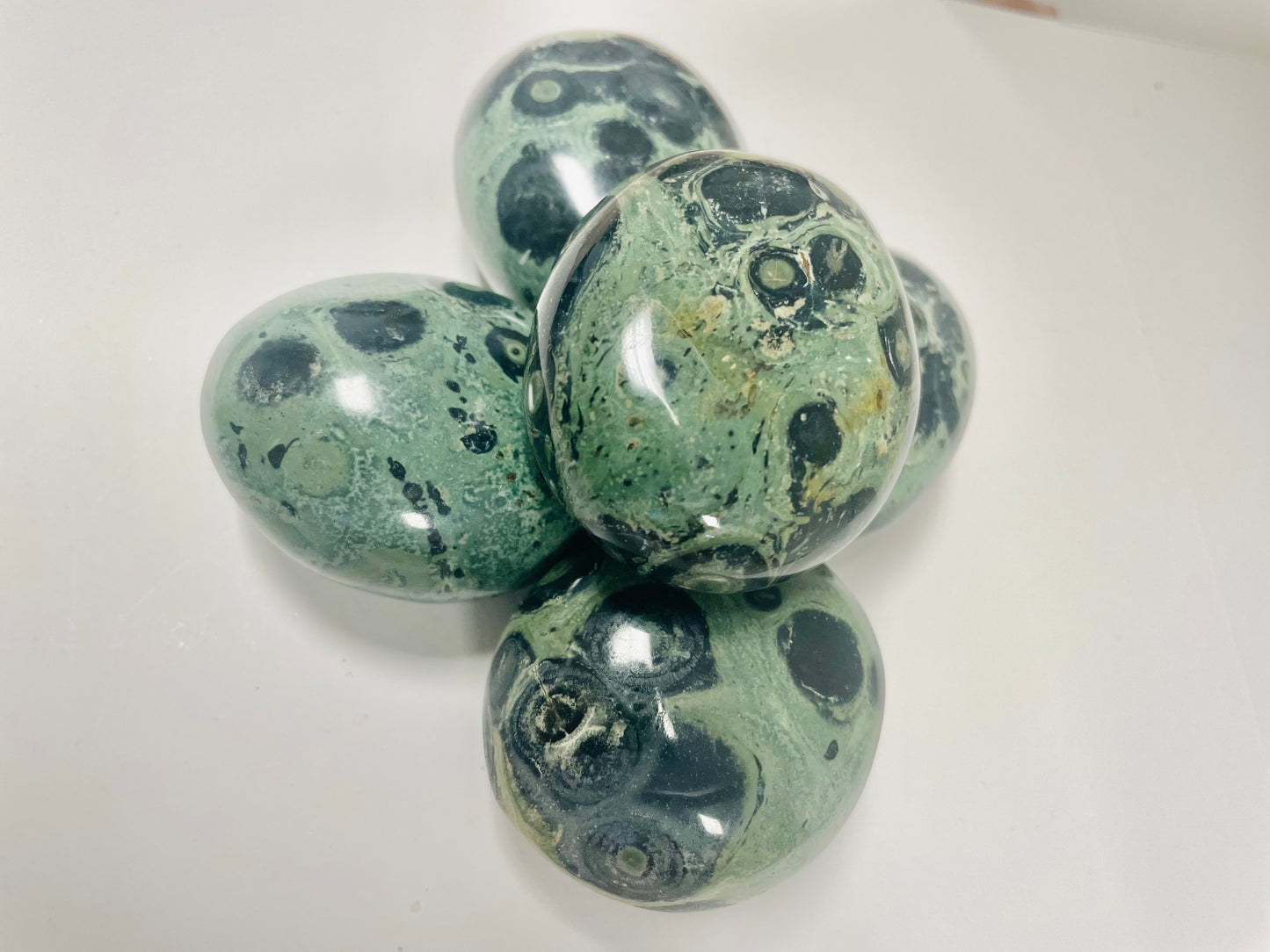 Kambaba Jasper (palm stone)