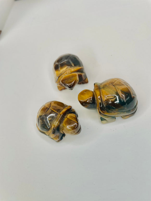 Tigereye Turtle